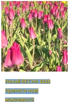 VESNA_RIVNE.jpg VESNA_RIVNE.jpg